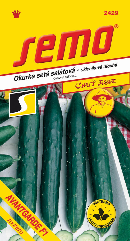Osivo zeleniny - Okurka sklen. Avantgarde F1