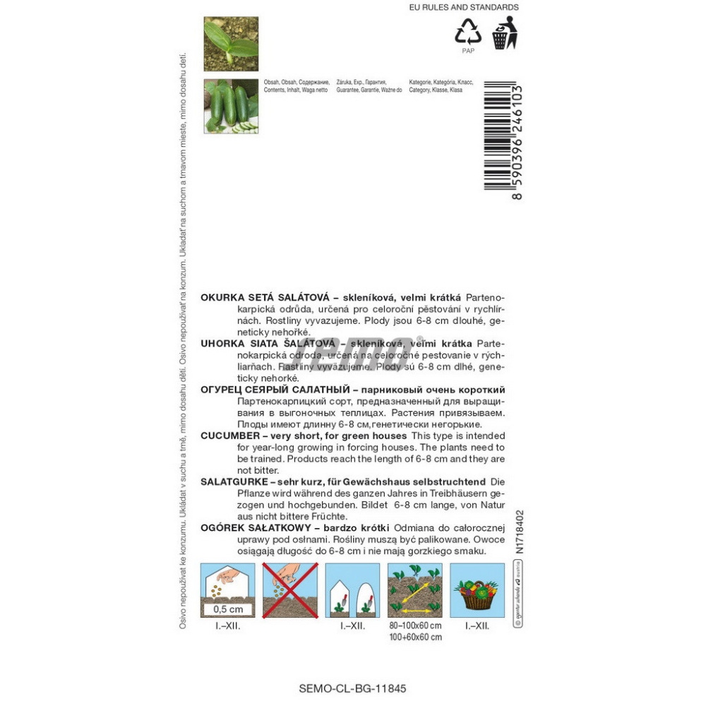 Okurka skleníková Littlesnack F1 JAZÝČKY-0