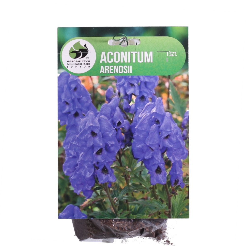 Ostatní jarní cibuloviny - Oměj Carmichaelův Arendsii 1ks