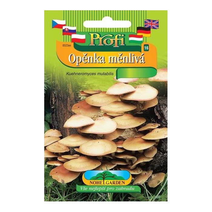 Houby - Opěnka měnlivá