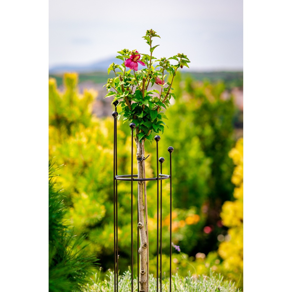 Opora/ochrana stromu VELEKA kruhová kovová 120/150cm-0