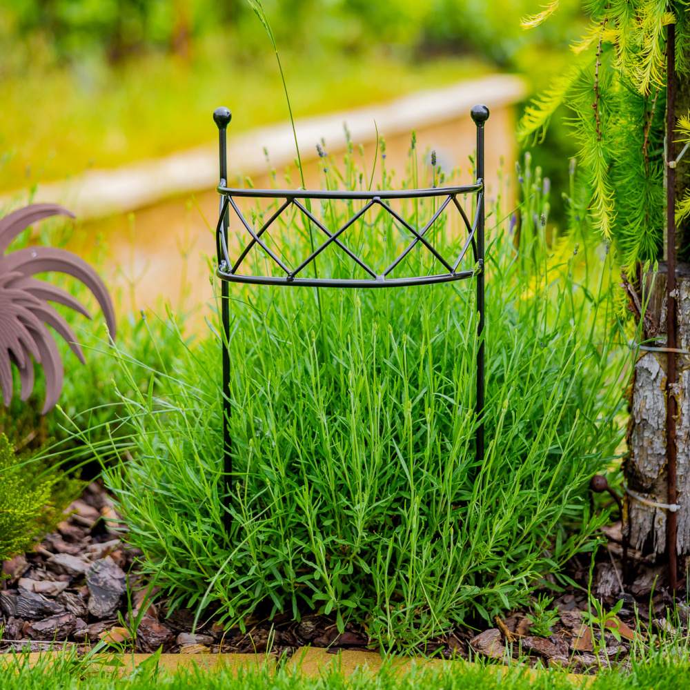 Opora pro rostliny CHRIS kovová 50/70/90cm-0