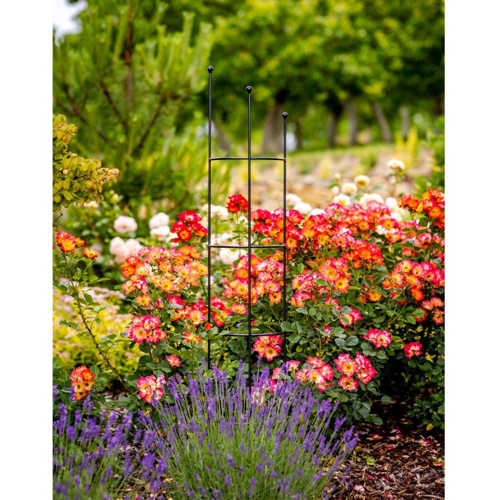 Opora pro rostliny COSMEA půlkruhová kovová 120/150/180cm-0