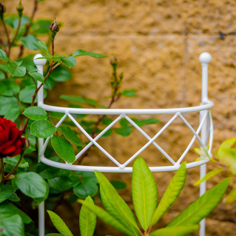 Opora pro rostliny ELVIS kovová 50/70/90cm-1