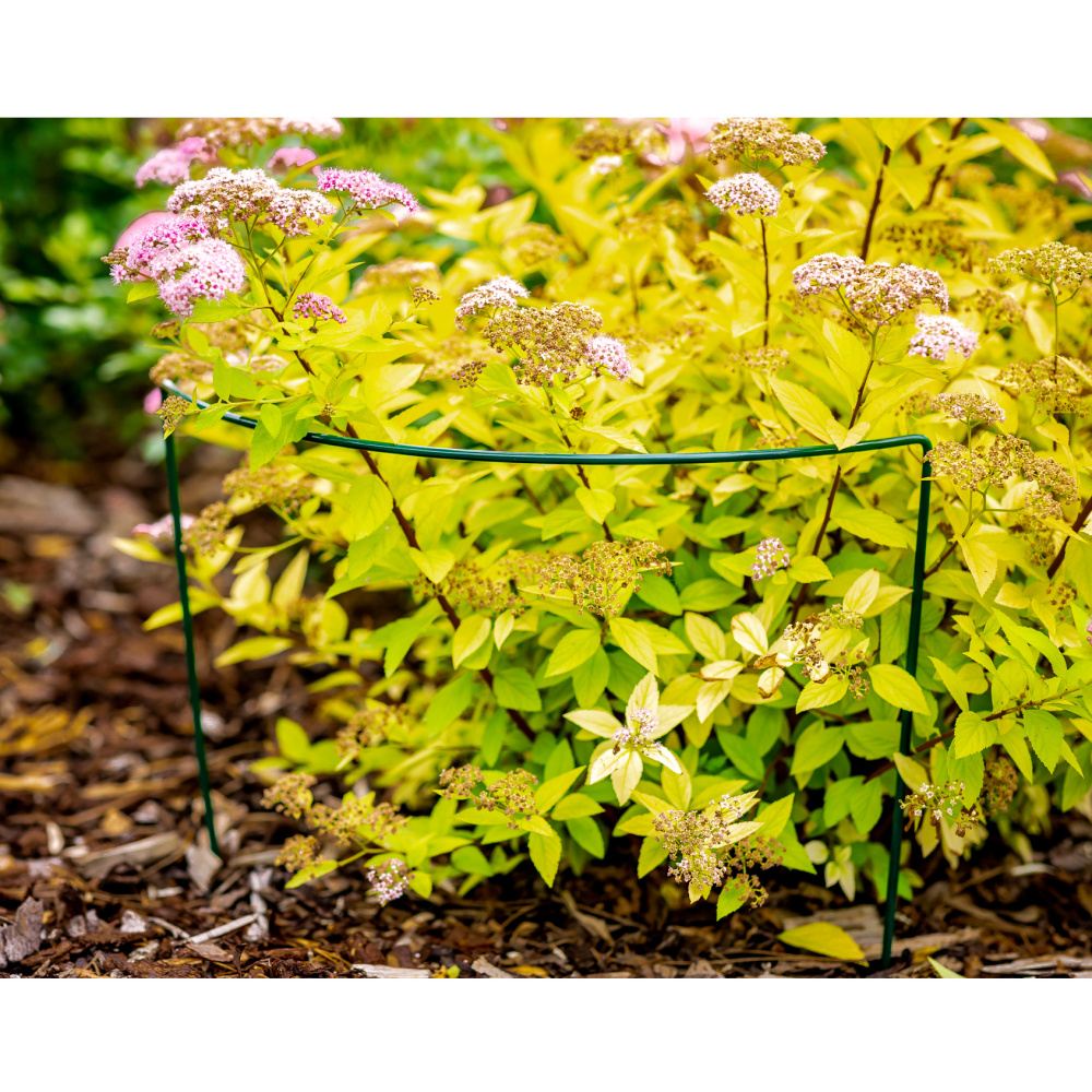 Opora pro rostliny LACERTA kovová zelená 35/70/100cm-1