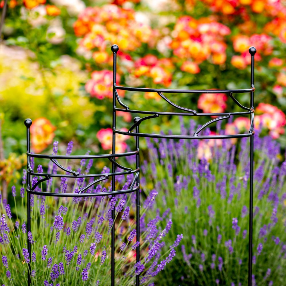 Opora pro rostliny LIANE kovová 50/70/90cm-0