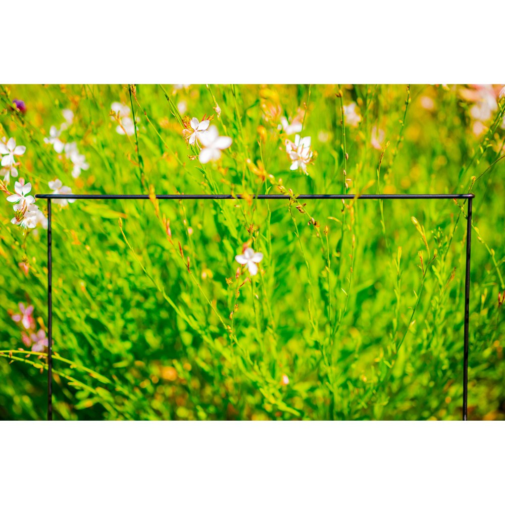 Opora pro rostliny RITA kovová 60cm-0