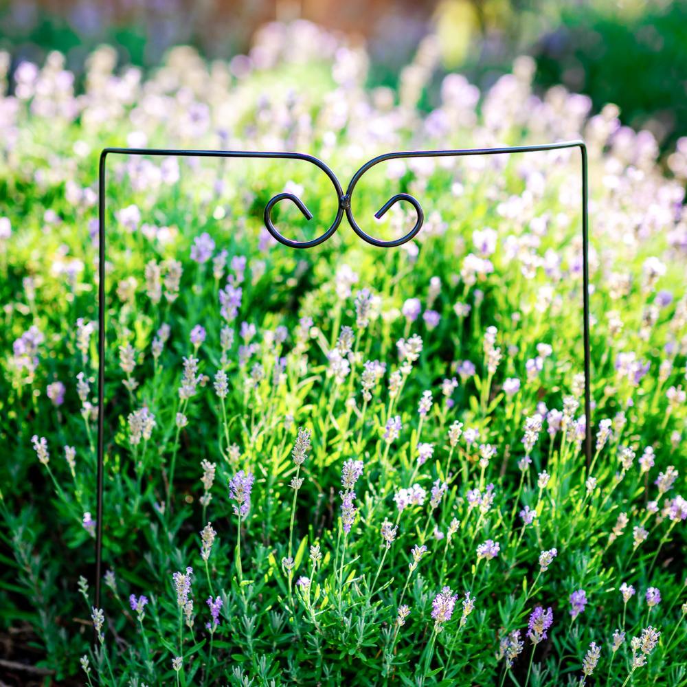 Opora pro rostliny ROBERTINA kovová 60x30/60x40/60x50cm-0