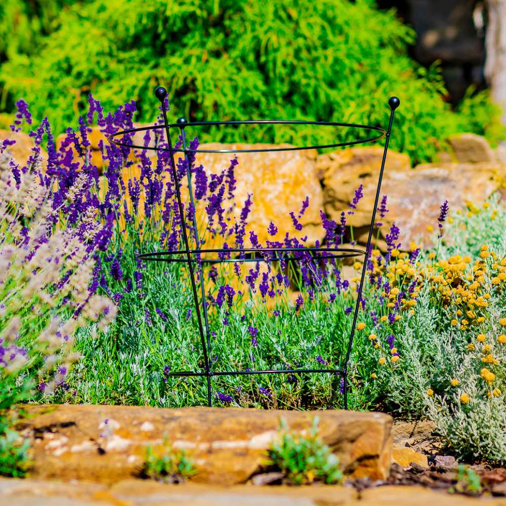 Opora pro rostliny TIVADAR kovová 72x42cm/72x50cm-0