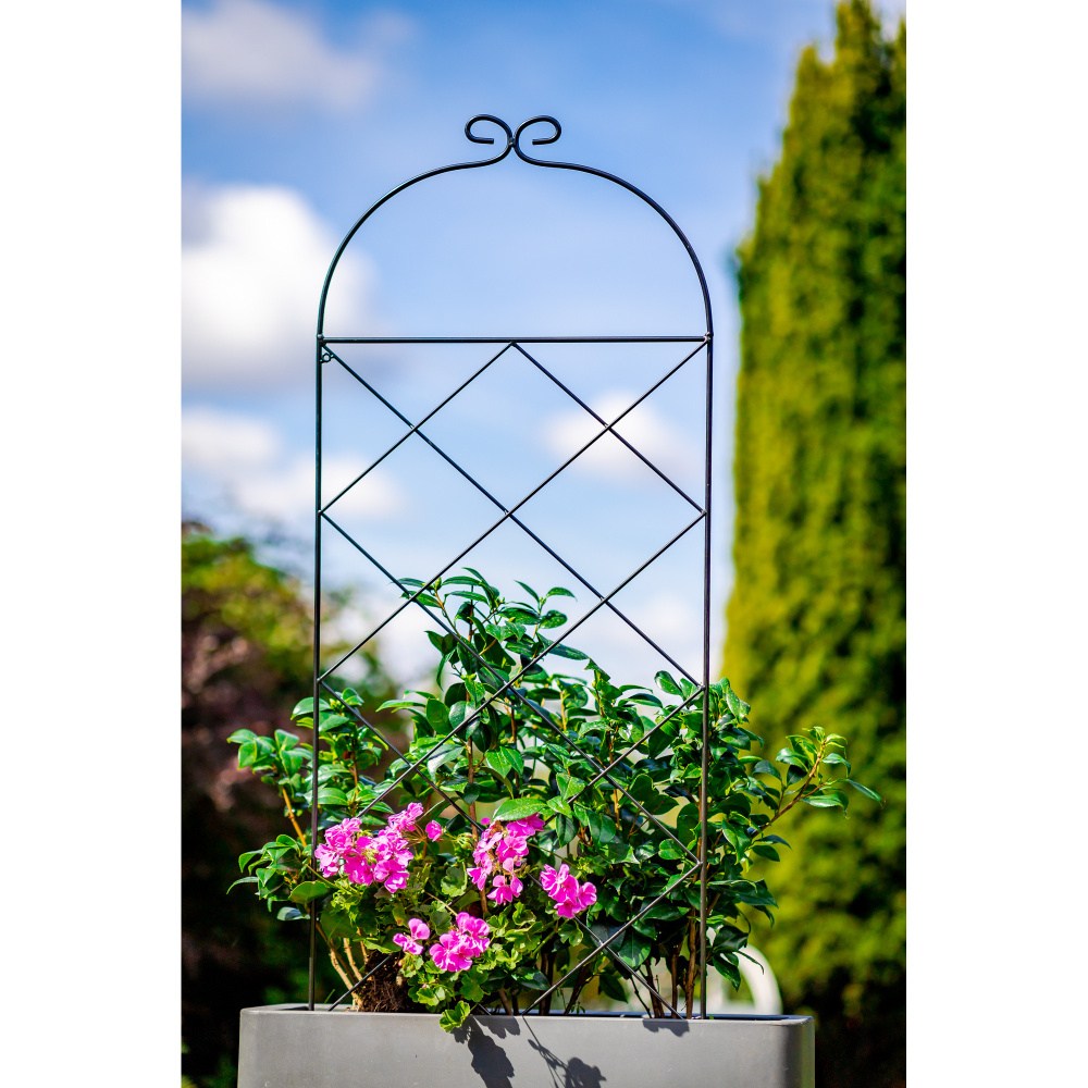 Opora pro rostliny/treláž CHUBUT kovová 150x55cm-0