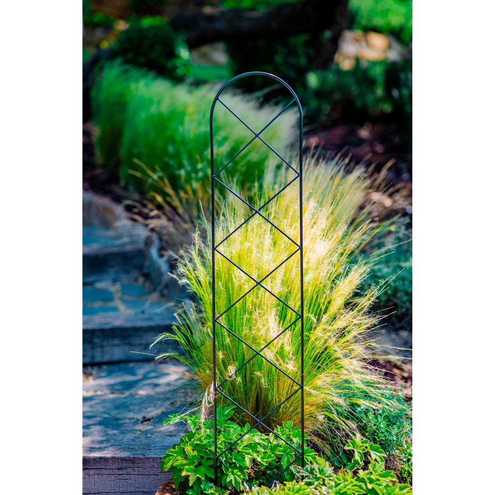 Opora pro rostliny/treláž ISAR kovová 150x27cm-0