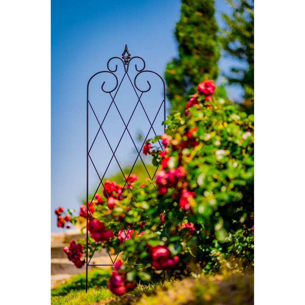 Opora pro rostliny/treláž JAGST kovová 152x45cm-0