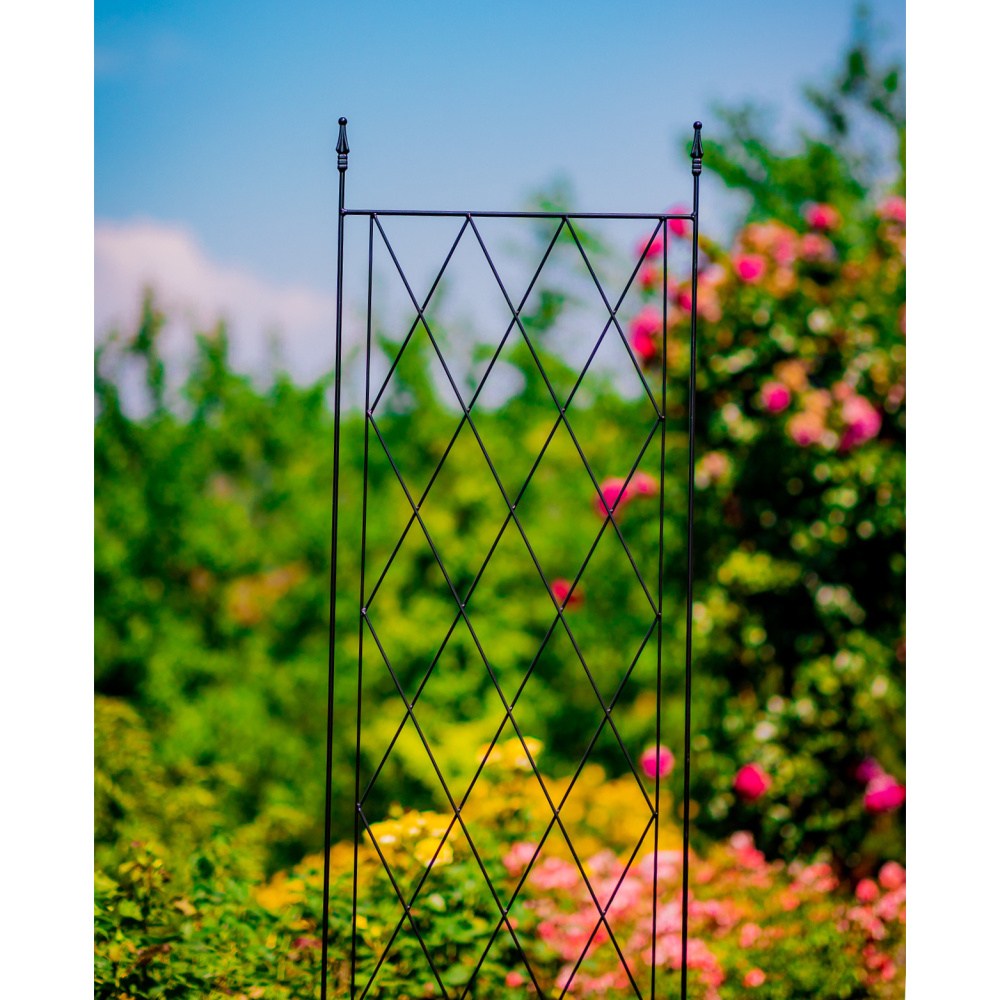 Opora pro rostliny/treláž NECKAR kovová 190x55cm-0