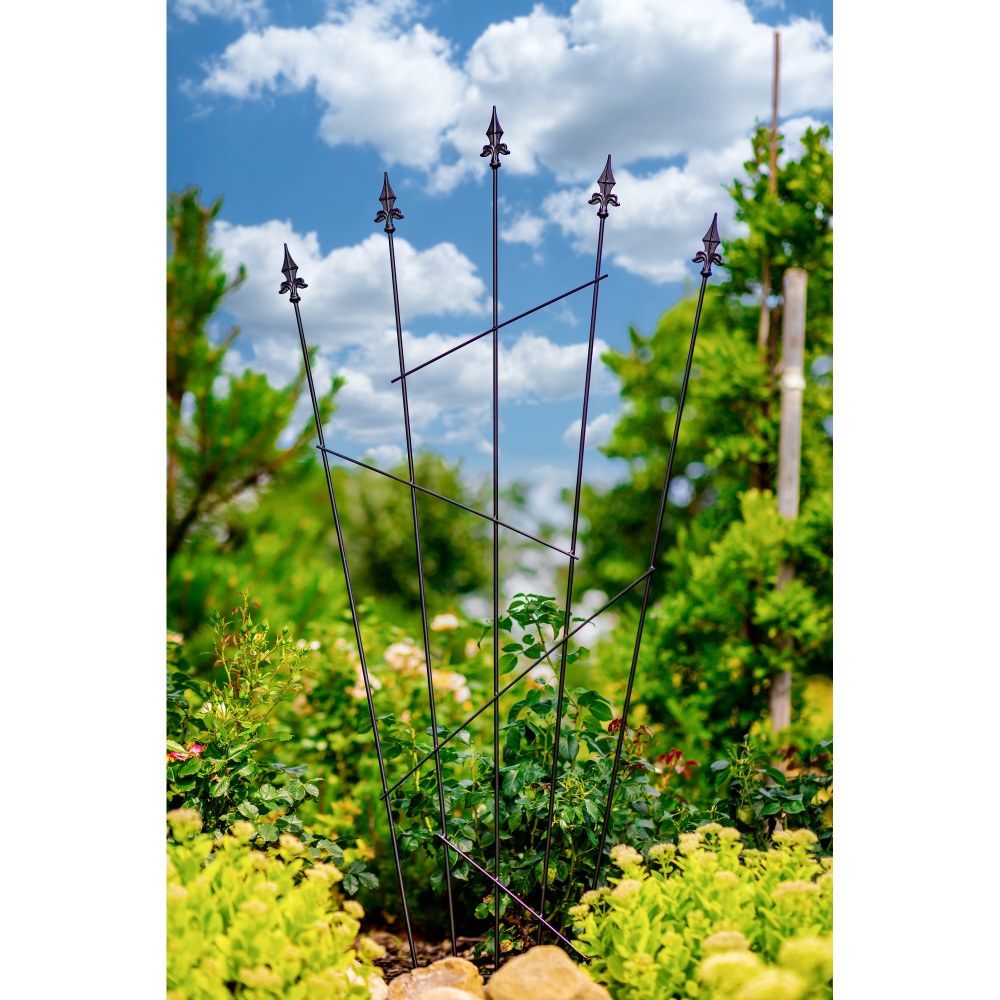 Opora pro rostliny/treláž PATUCA kovová 180/240cm-0