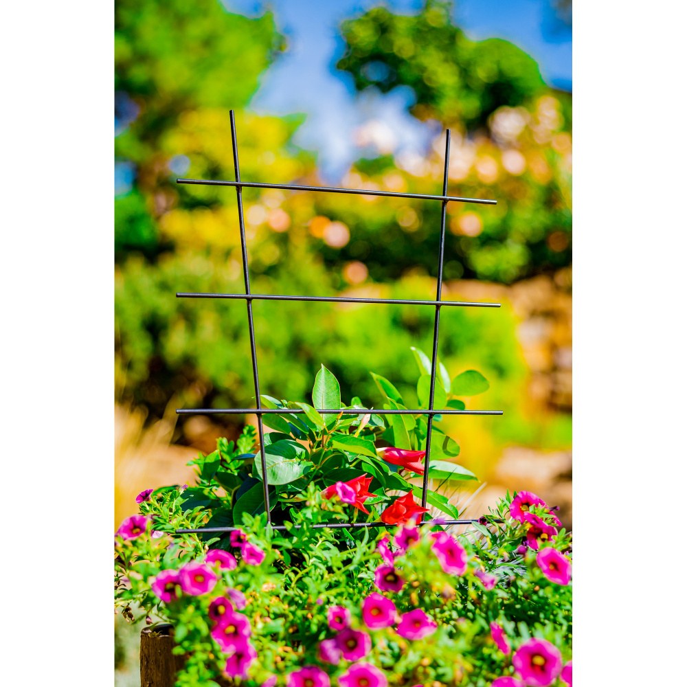 Opora pro rostliny/treláž SAALE kovová 37/57/77cm-4