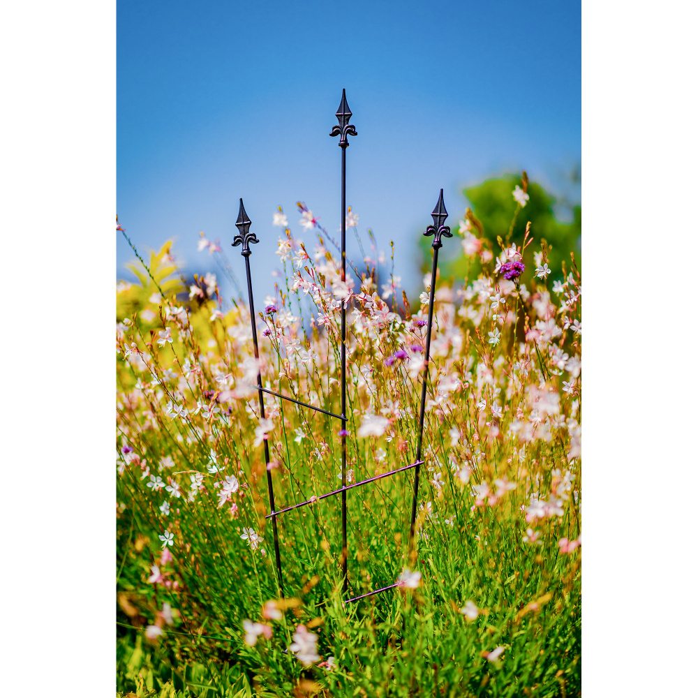 Opora pro rostliny/treláž SONORA kovová 150x48cm-0