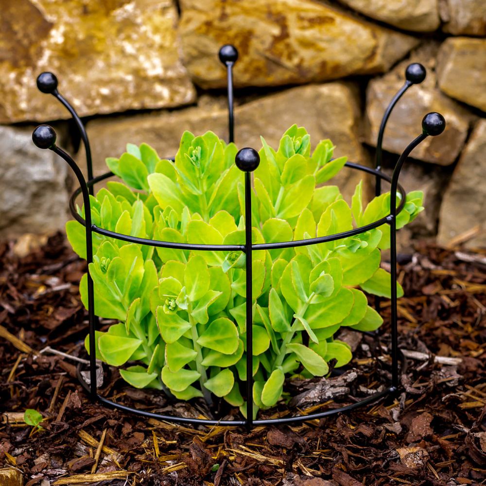 Opora pro rostliny VENTA kruhová kovová 30x30cm/35x40cm-0