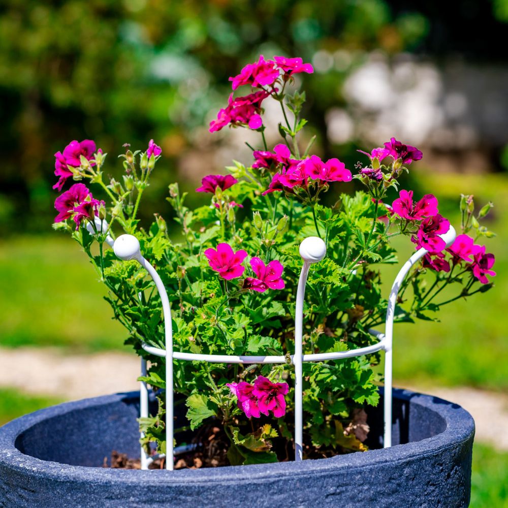 Opora pro rostliny VENTA kruhová kovová 30x30cm/35x40cm-1