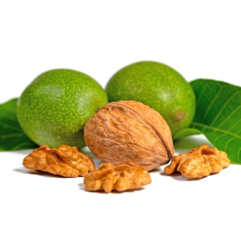 Rostliny - Ořešák královský Bohumil výška 100/125cm, polopapírák, částečně samosprašný