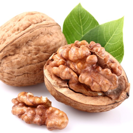 Balkonové ovocné stromky - Ořešák královský 'Buccaneer' květináč 5 litrů, balkonová, zákrsek, polopapírák, SAMOSPRAŠNÝ