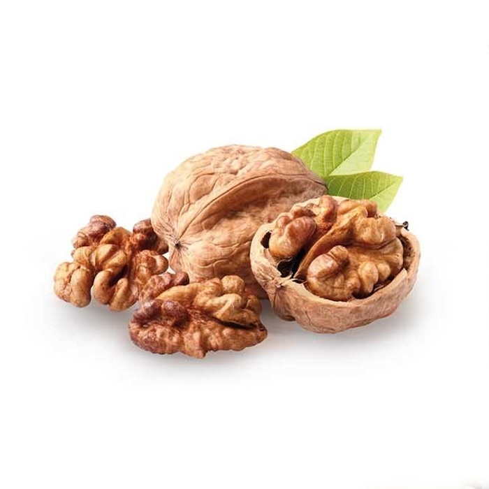 Ořešáky - Ořešák královský zákrsek, polopapírák, květináč 5 litrů