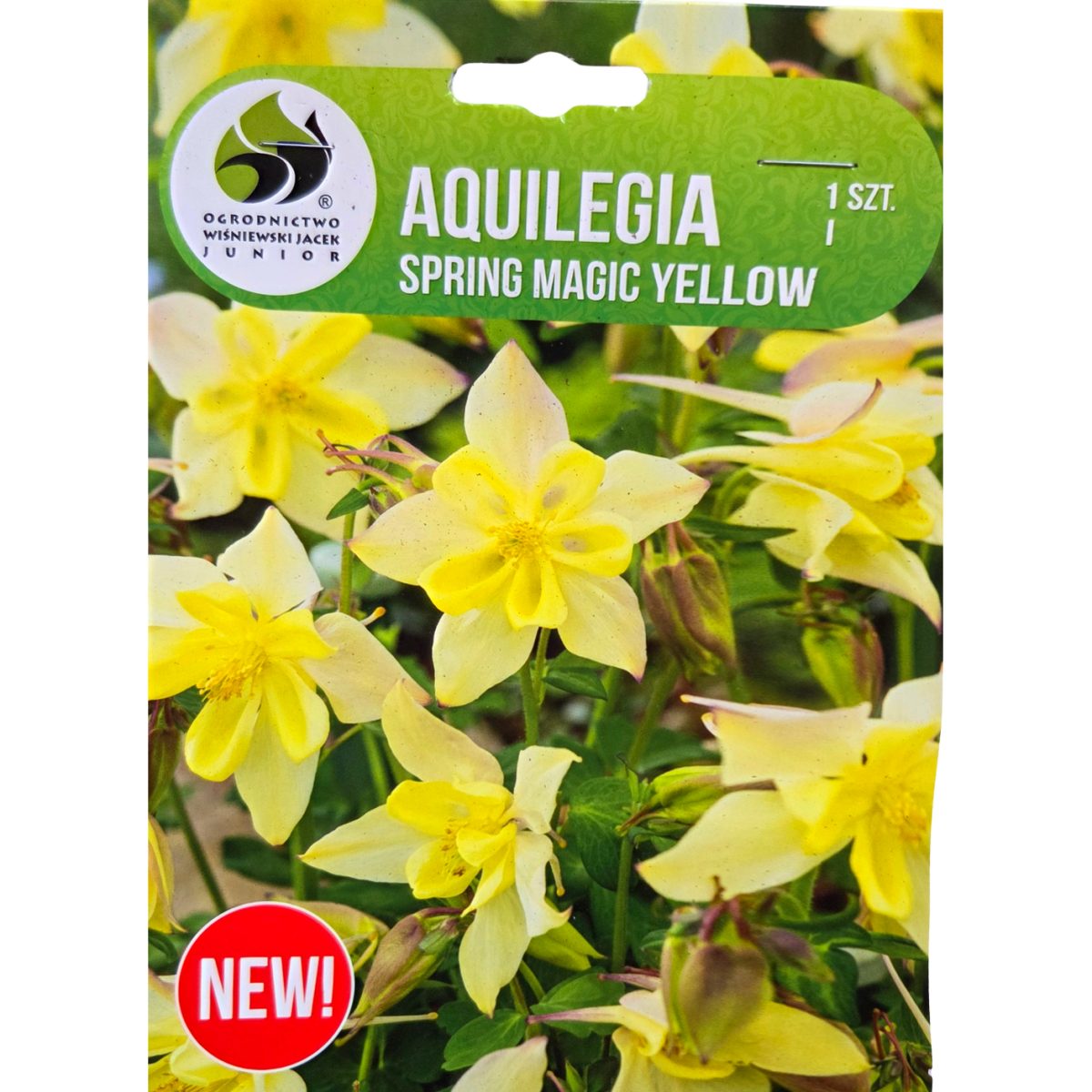 Ostatní jarní cibuloviny - Orlíček Spring Magic Yellow 1ks