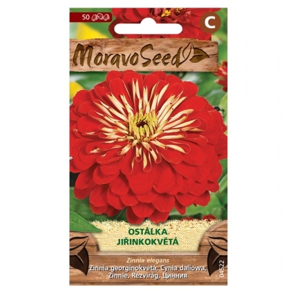 Osivo letniček - Ostálka jiřinkokvětá červená (MS)