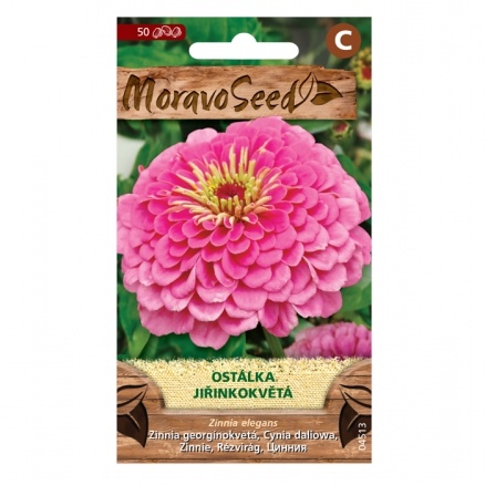 Osivo letniček - Ostálka jiřinkokvětá růžová (MS)