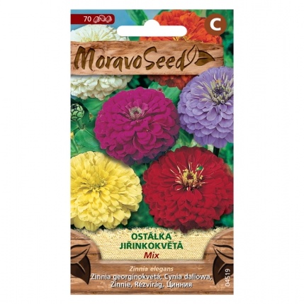 Osivo letniček - Ostálka jiřinkokvětá směs (MS)