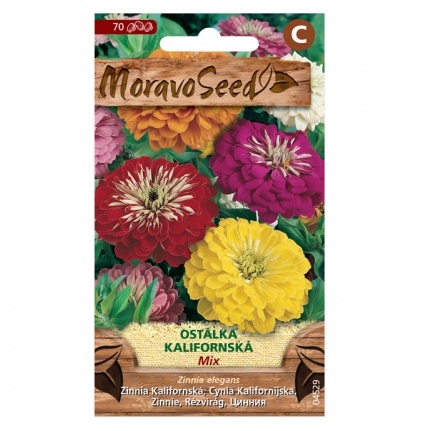 Osivo letniček - Ostálka Kalifornská směs (MS)