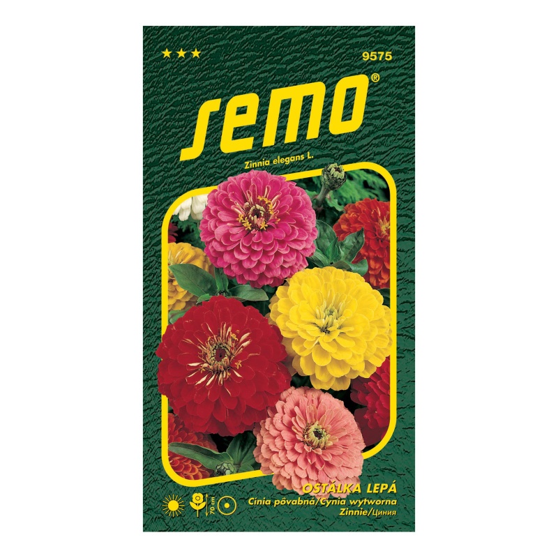 Ostálka lepá Geant de california směs-0