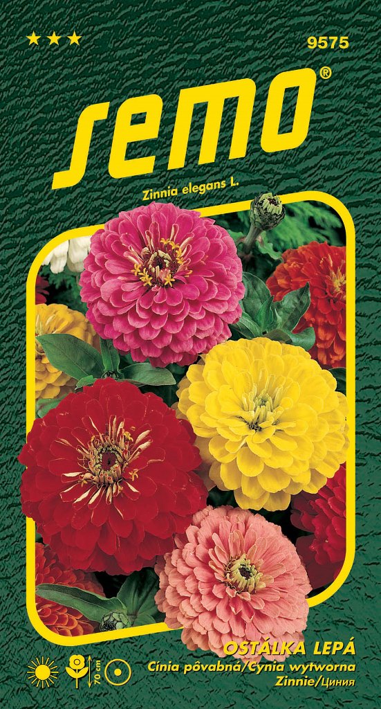 Osivo letniček - Ostálka lepá Geant de california směs