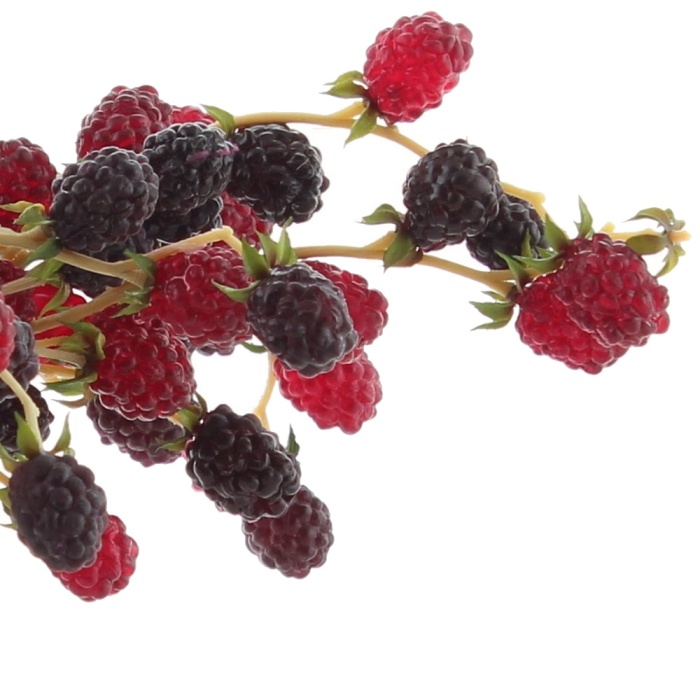 Umělé ovoce a zelenina - Ostružina s plody řezaná umělá 27cm vínová