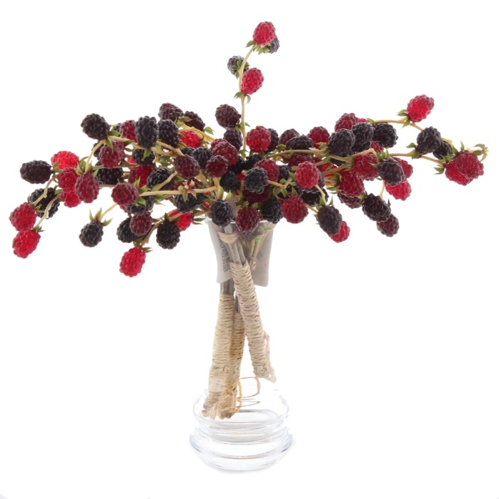 Ostružina s plody řezaná umělá 27cm vínová-0