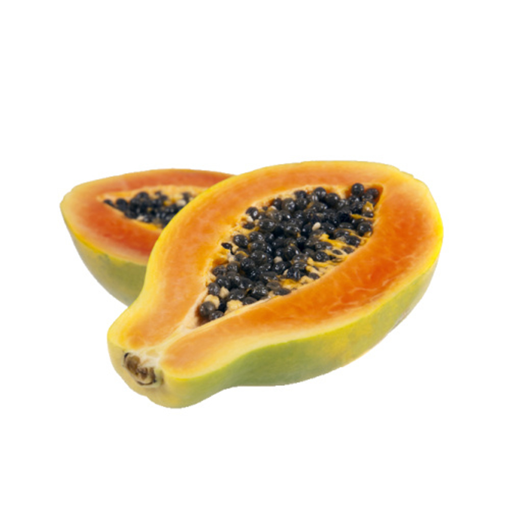 Papája Sunnybees květináč 12cm-0