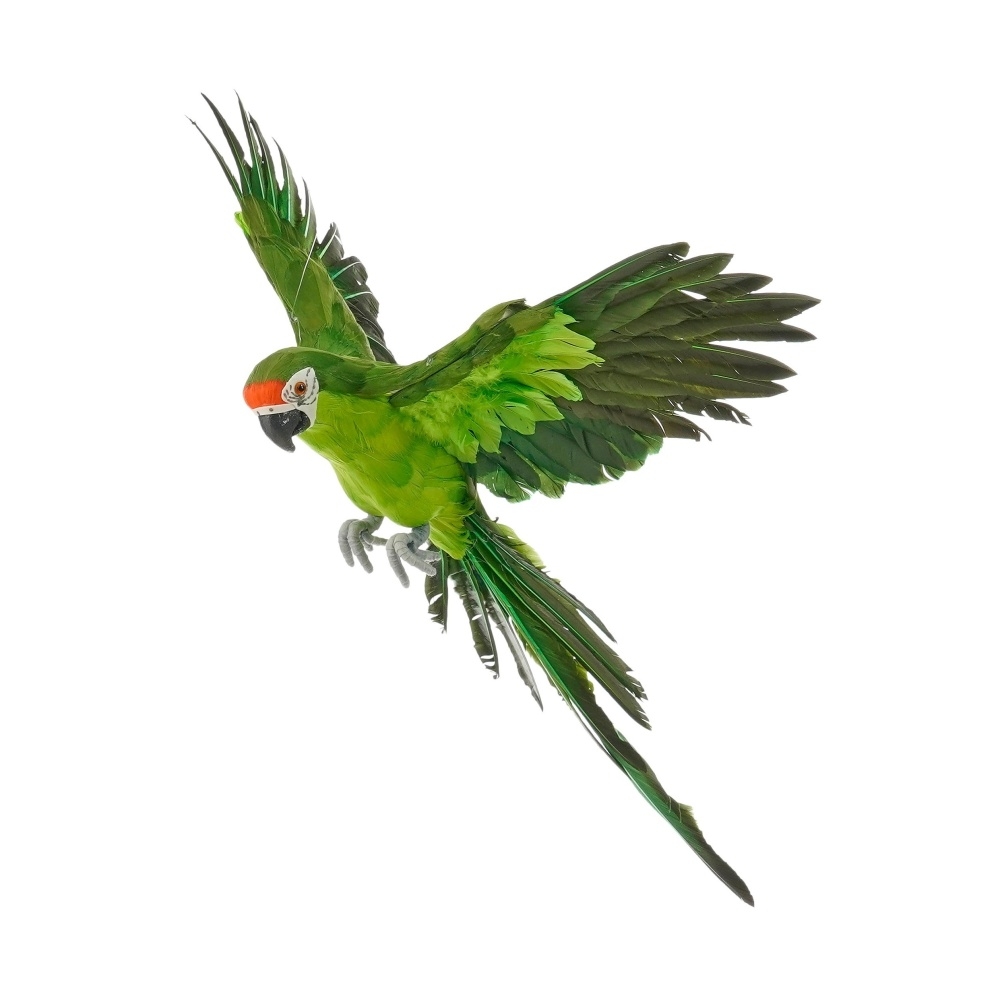 Dekorační figurky zvířat - Papoušek v letu z peří zelený 56cm