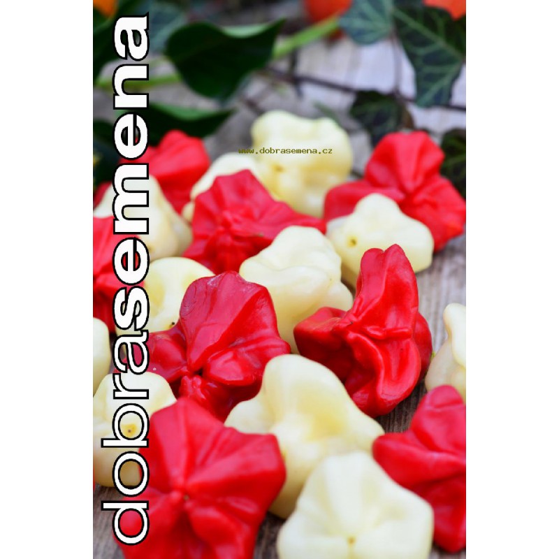 Osivo zeleniny - Paprika chilli BISHOPS CROWN mix (DS)