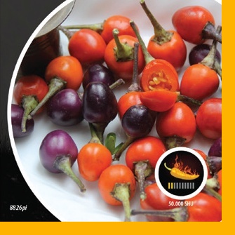 Paprika chilli Cancun PIQUANT-0