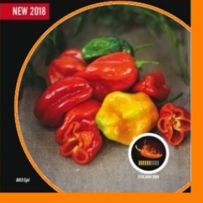 Paprika chilli Habanero Red Savina PIQUANT-0