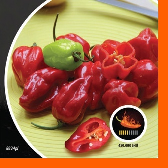 Paprika chilli Habanero Rosso PIQUANT-0
