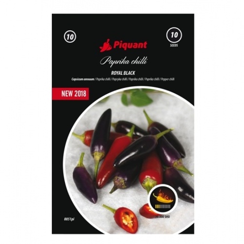Osivo chilli papriček - Paprika chilli Royal Black PIQUANT
