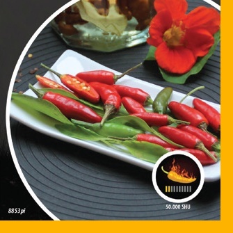 Paprika chilli Saltillo PIQUANT-0