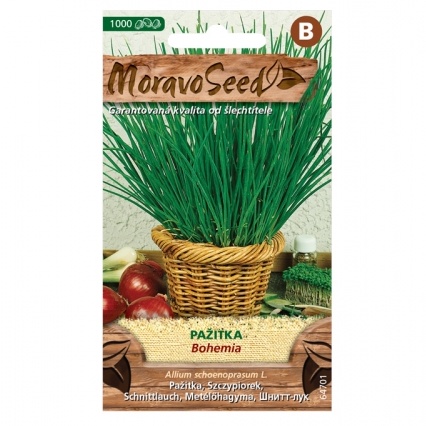 Osivo zeleniny - Pažitka BOHEMIA (MS)