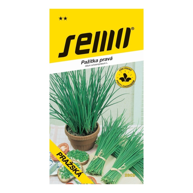 Osivo zeleniny - Pažitka Pražská