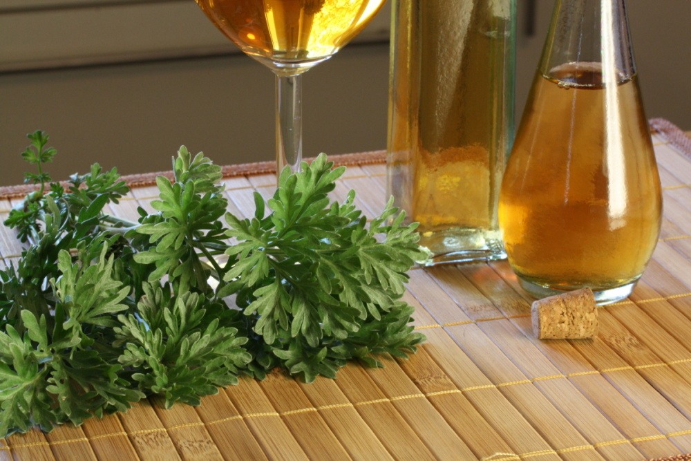 Pelyněk pravý BIO květináč 12cm-0