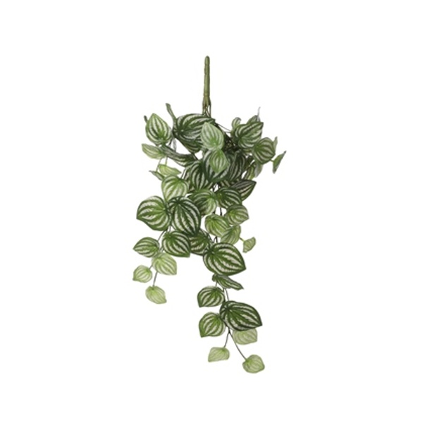 Celoroční umělé květiny - Peperomia závěs umělá sv. zelená 58cm