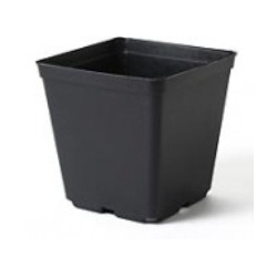 Květináče - Pěstební kontejner EX 9cm černý plast