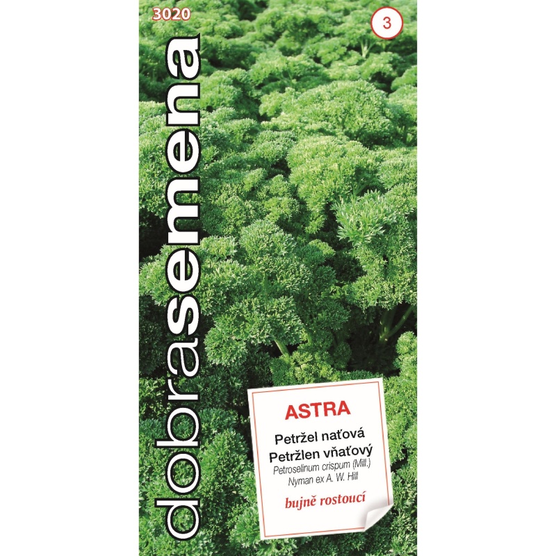 Osivo zeleniny - Petržel kadeřavá ASTRA (DS)