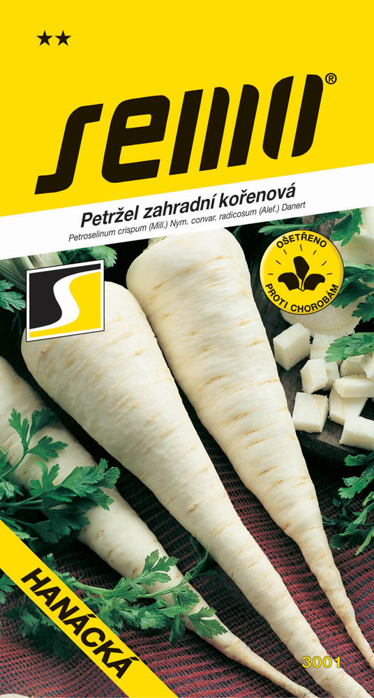 Osivo zeleniny - Petržel kořenová Hanácká