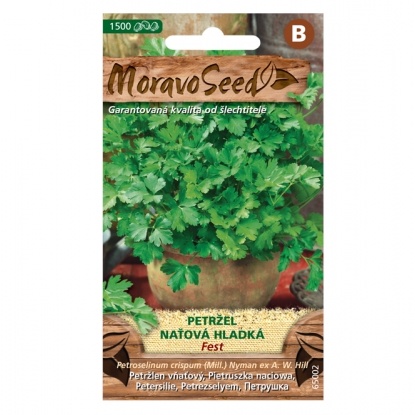 Osivo zeleniny - Petržel naťová FEST hladká (MS)